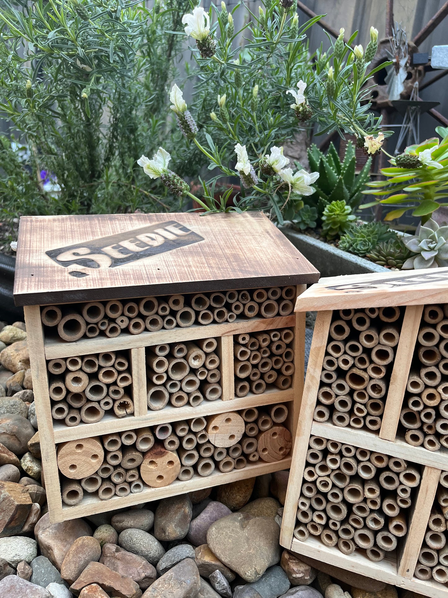 Bee, Butterfly Insect Hotel/House