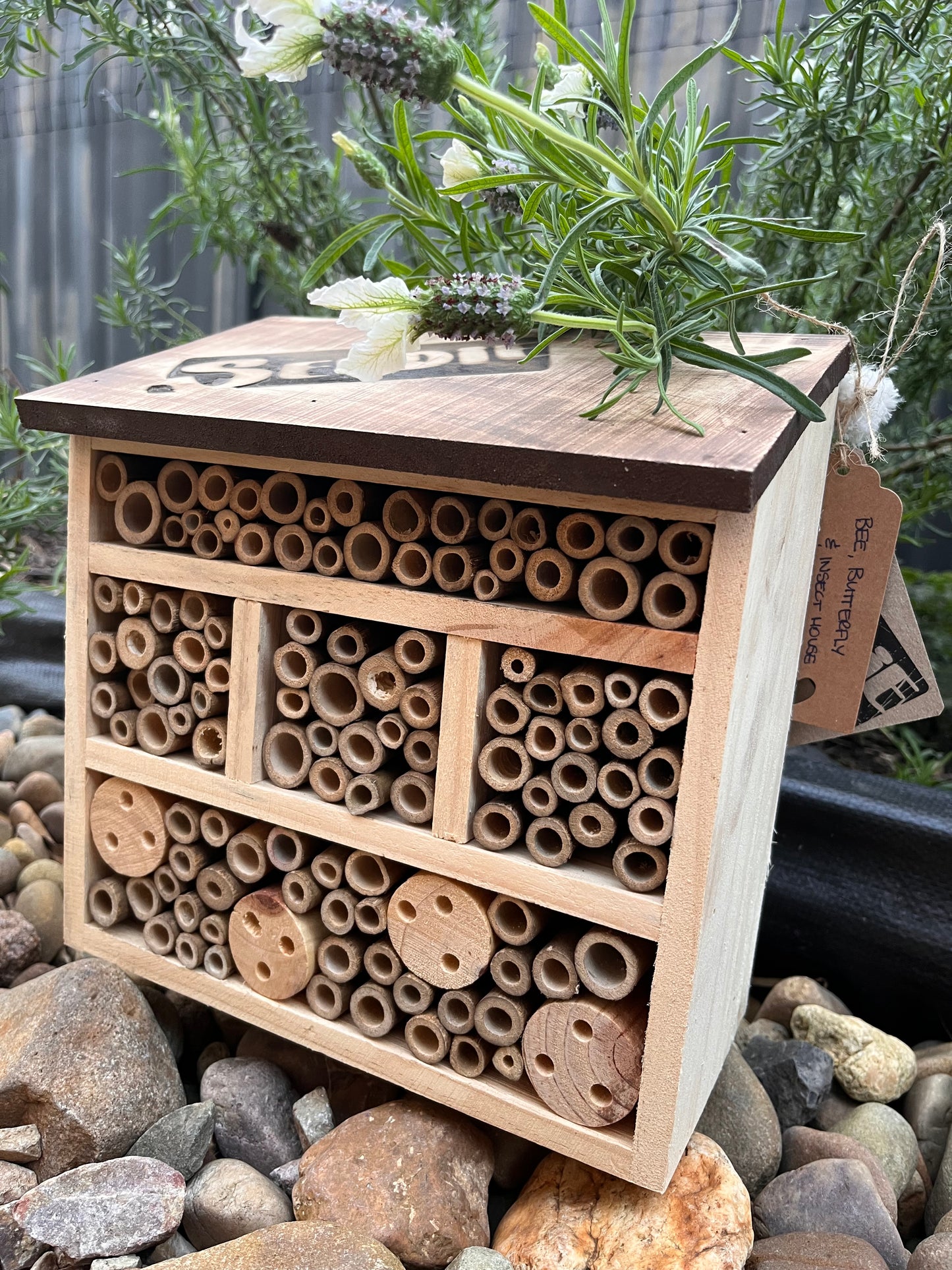 Bee, Butterfly Insect Hotel/House