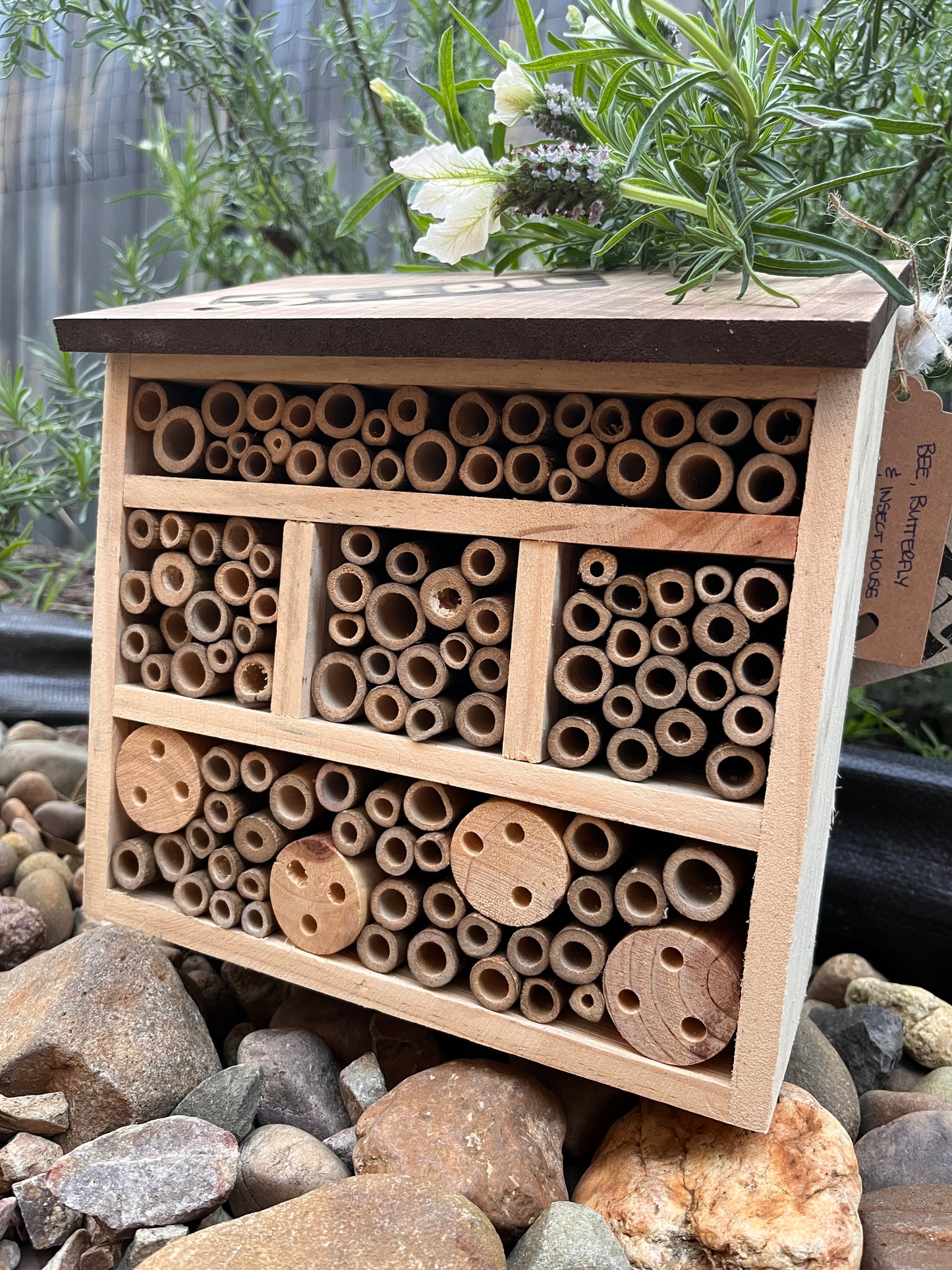 Bee, Butterfly Insect Hotel/House