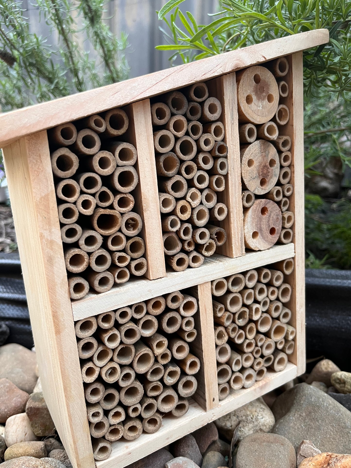 Bee, Butterfly Insect Hotel/House