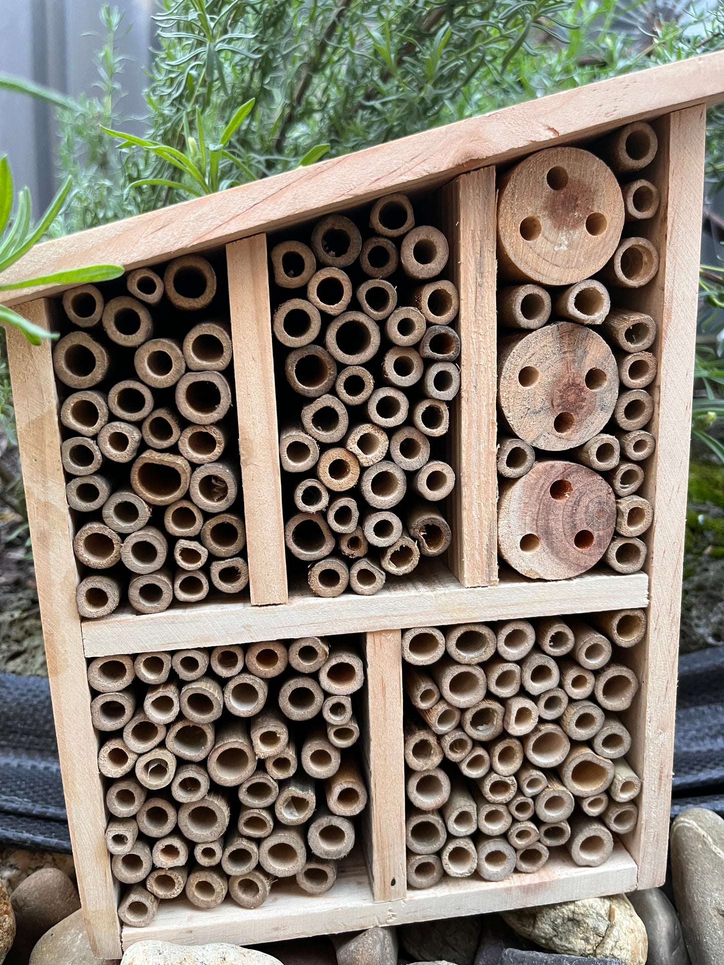 Bee, Butterfly Insect Hotel/House