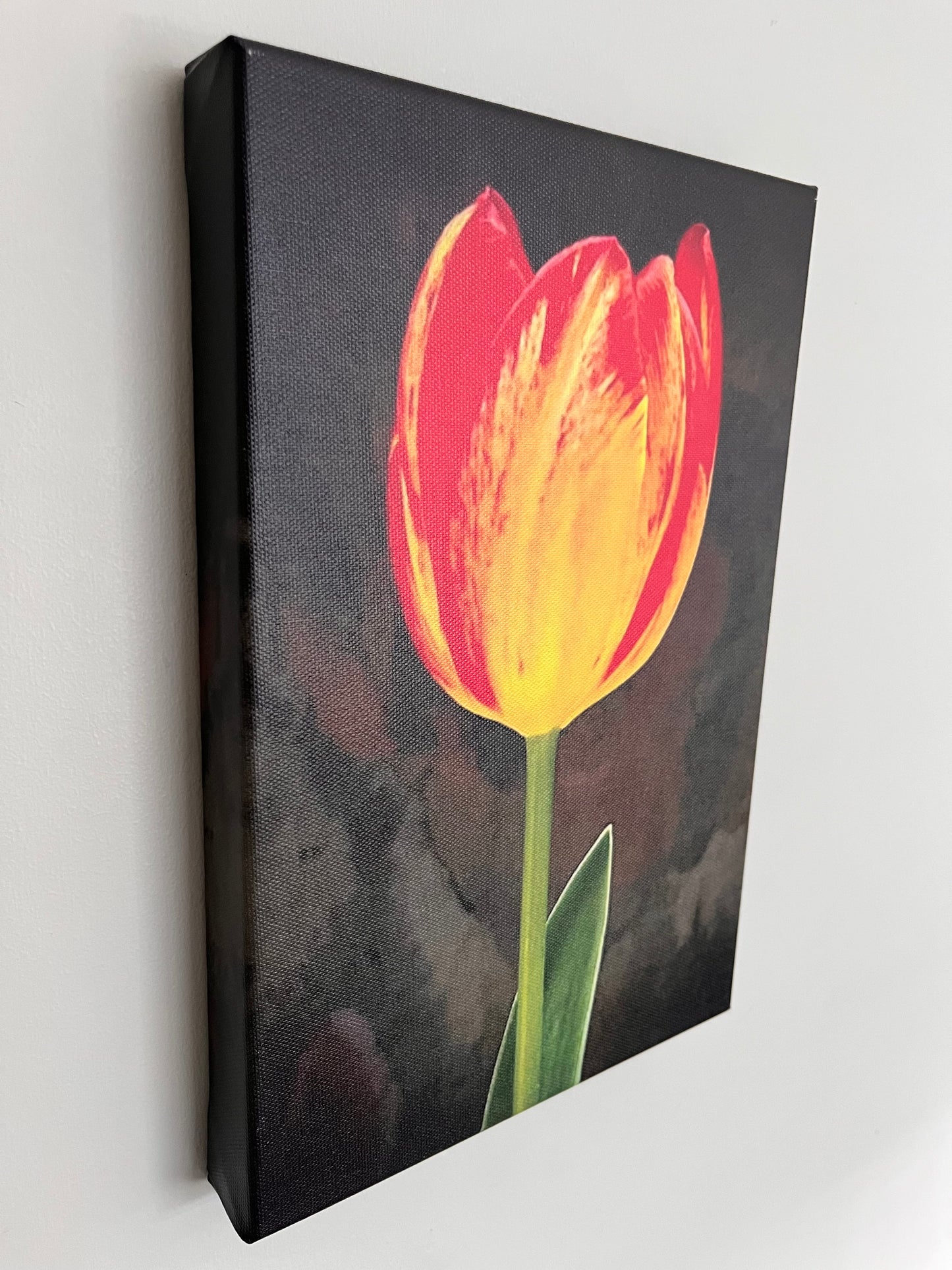 20cm x 30cm Canvas Print - Tulip