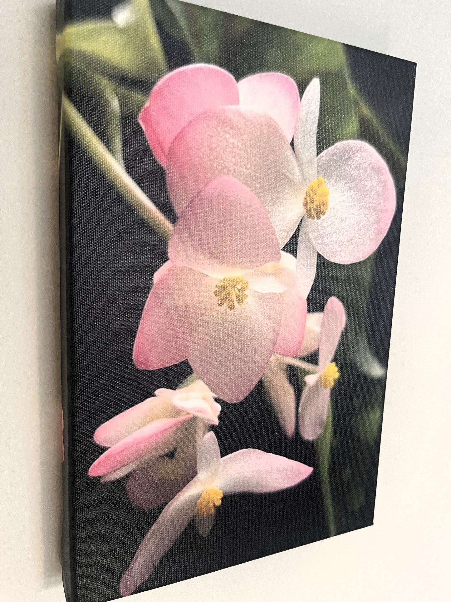 20cm x 30cm Canvas Print - Polka Dot Begonia Flower