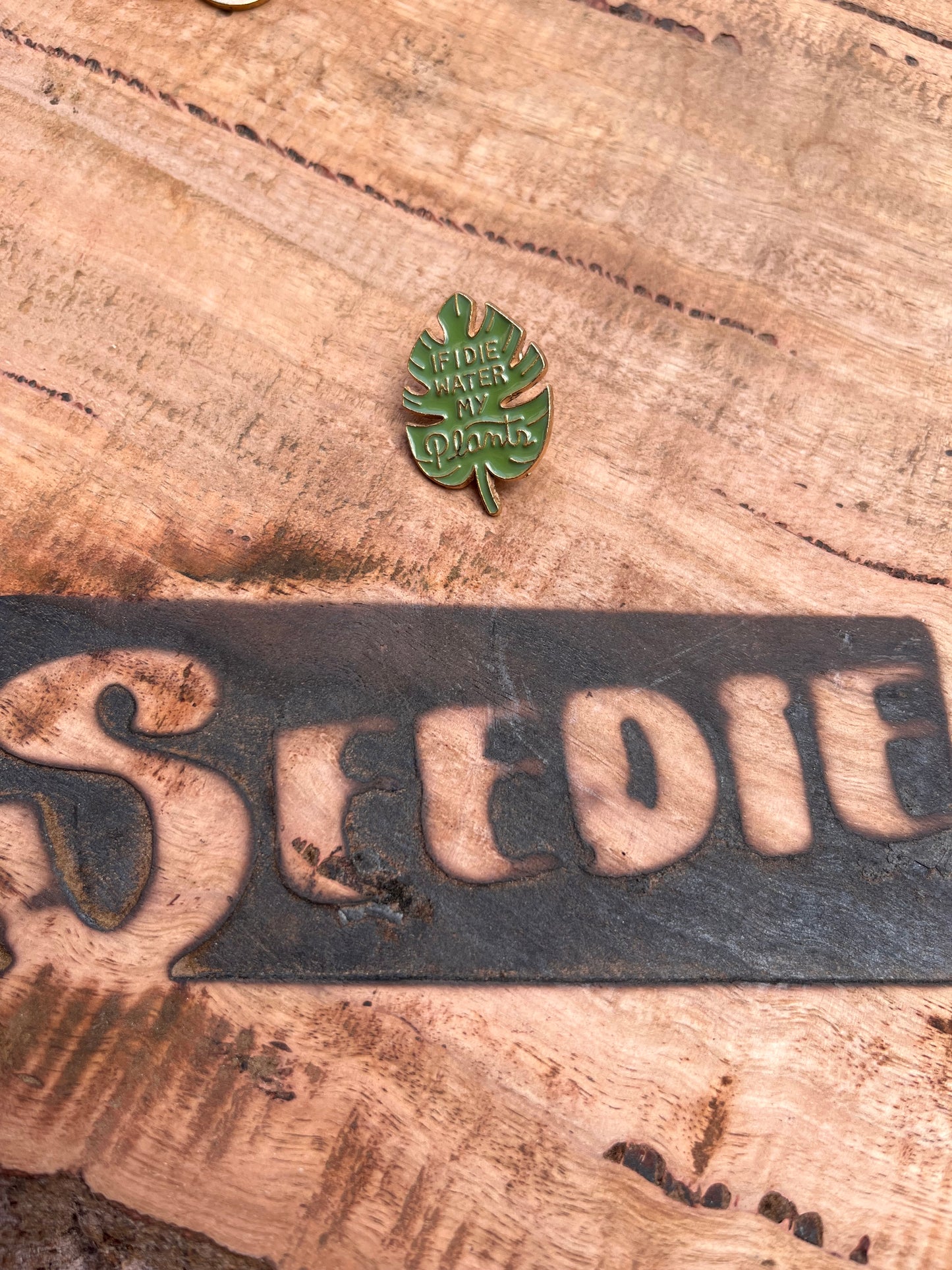 Monstera Leaf Enamel Pin - "If I Die, Water My Plants" π¦π±