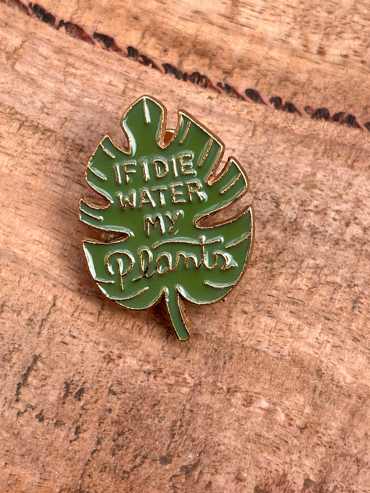 Monstera Leaf Enamel Pin - "If I Die, Water My Plants" π¦π±