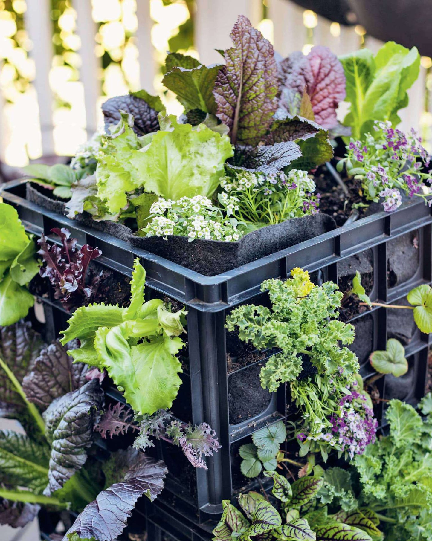 Organic Gardening for Everyone: Homegrown Vegetables Made Easy - No Experience Required!