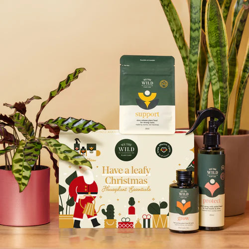 Limited Edition Christmas Essential Kit Gift Box - by We The Wild