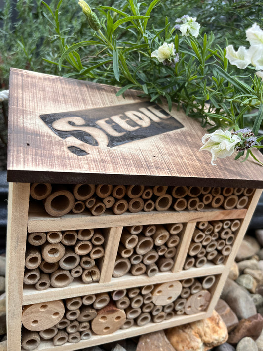 Bee, Butterfly Insect Hotel/House
