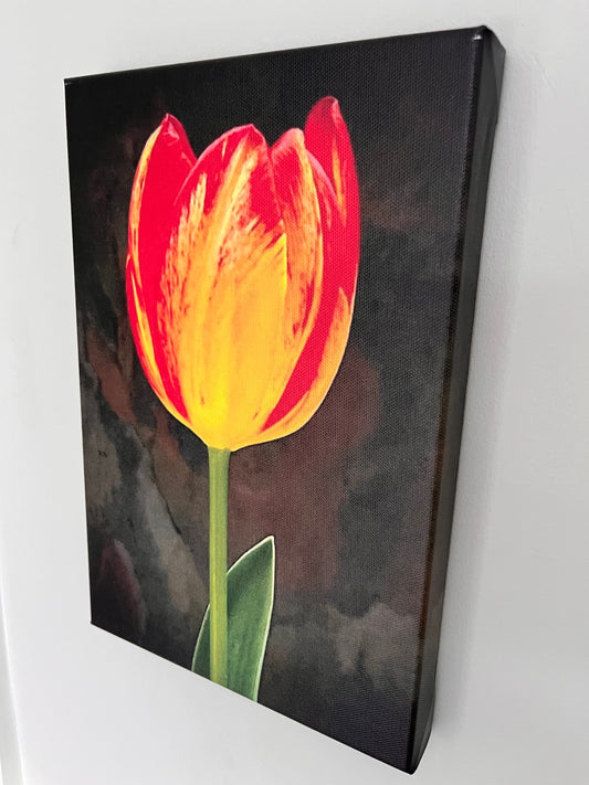 20cm x 30cm Canvas Print - Tulip