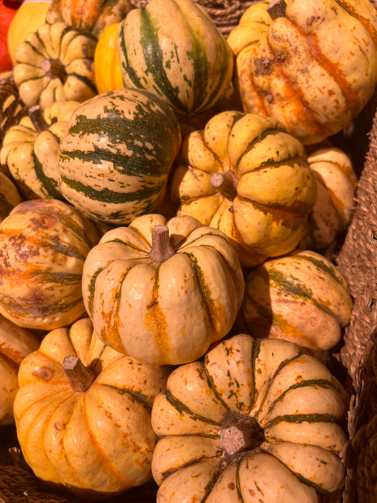 Organic Sweet Dumpling Squash Seeds