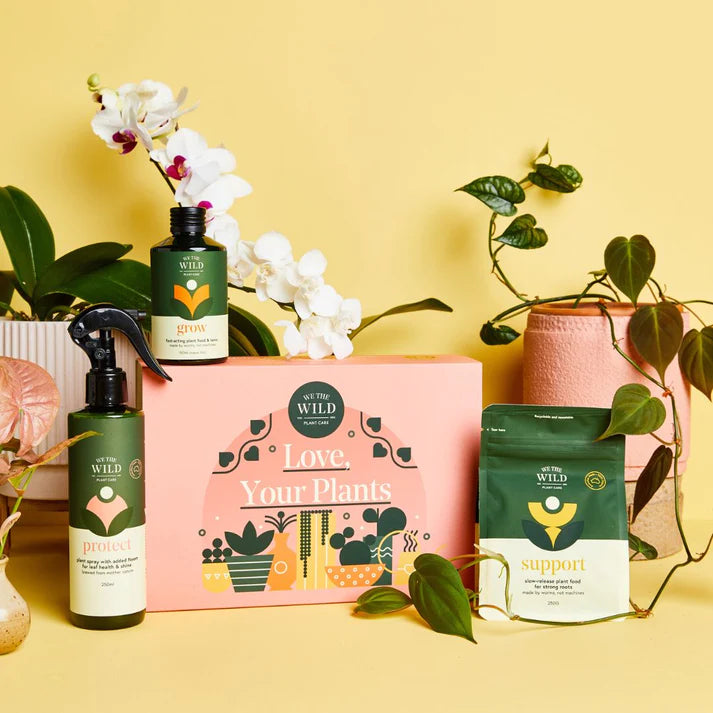 Essential Kit with Gift Box - by We The Wild
