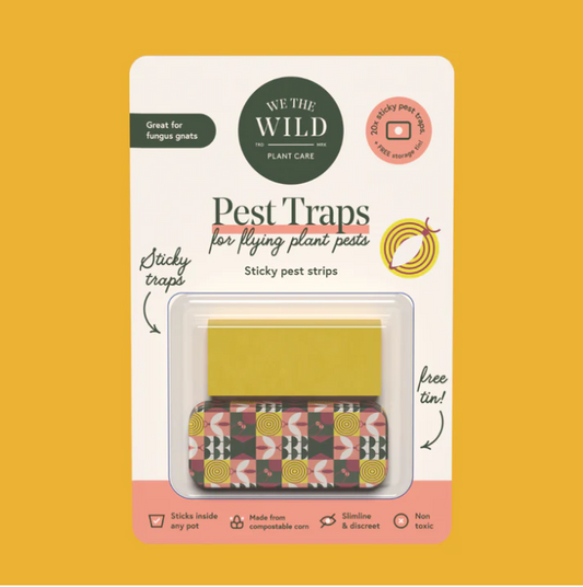 Compostable Gnat Traps - by We The Wild