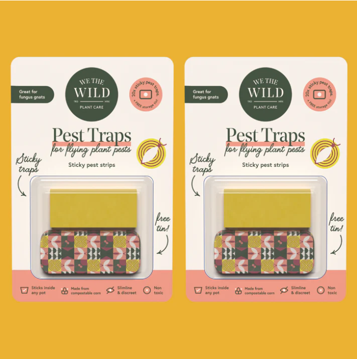Compostable Gnat Traps - by We The Wild