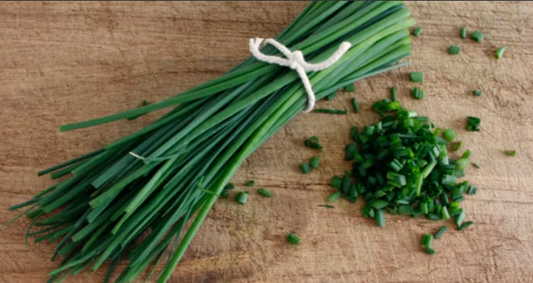 Organically grown Chive Seeds