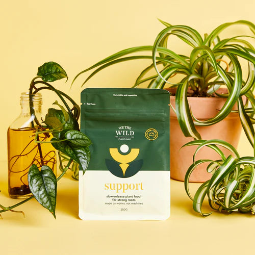 Limited Edition Christmas Essential Kit Gift Box - by We The Wild
