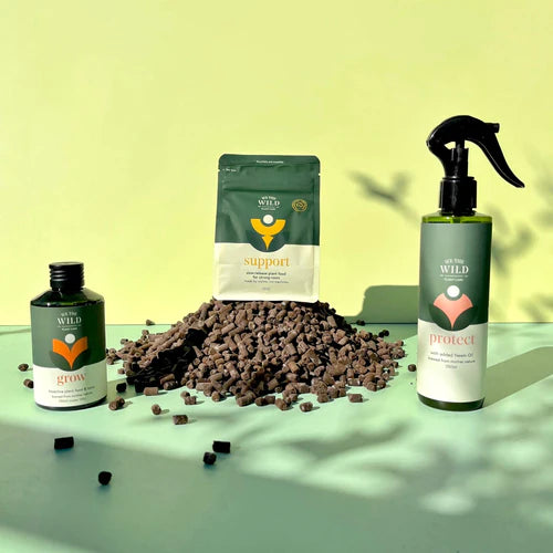 Essential Kit with Gift Box - by We The Wild