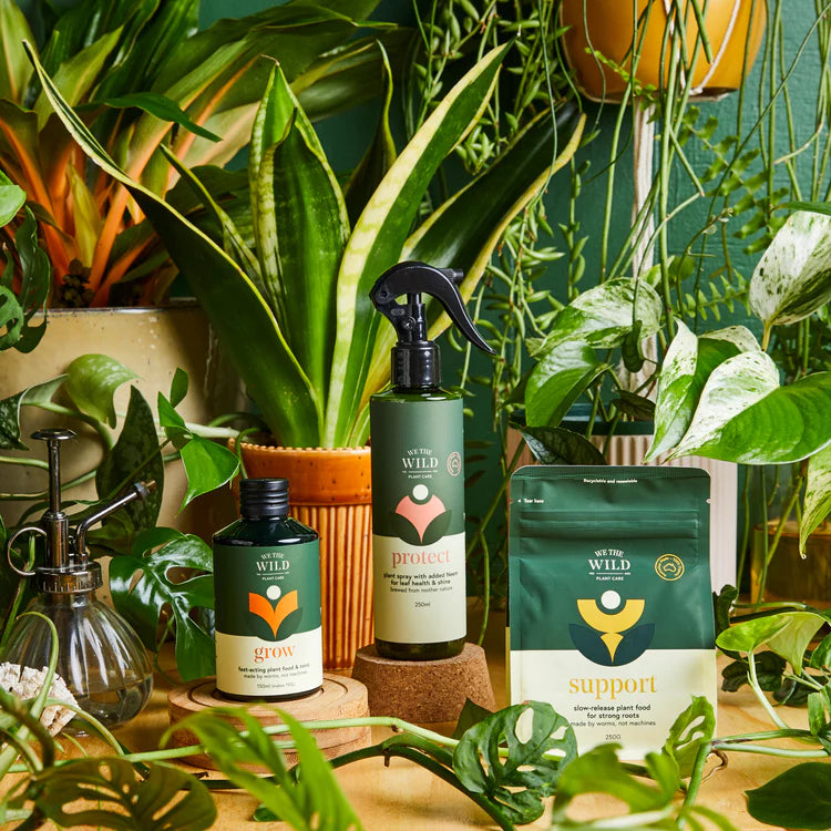 Limited Edition Christmas Essential Kit Gift Box - by We The Wild