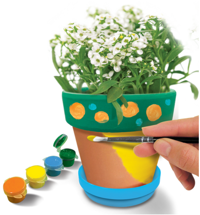 "Watch Me Grow" Paint A Pot Project
