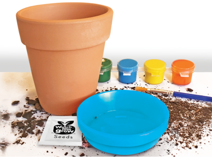 "Watch Me Grow" Paint A Pot Project