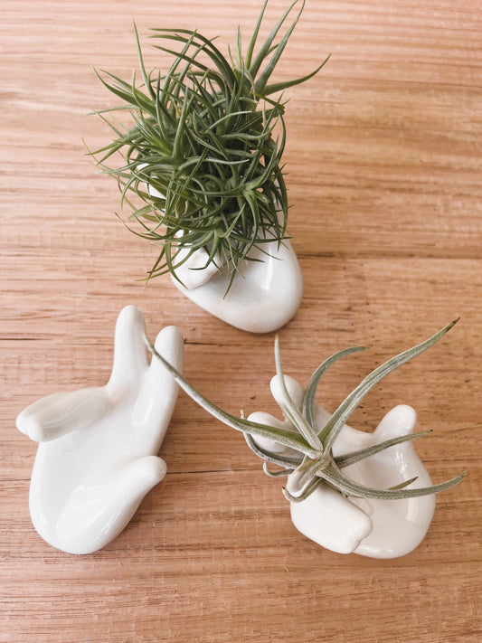 White Ceramic Hand Air Plant Holder