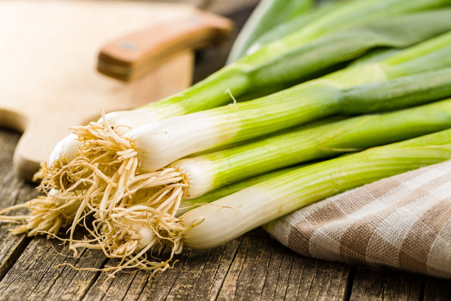 Organically grown Spring Onion Seeds